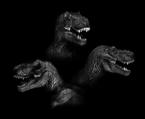 Set of Tyrannosaurus Rex dinosaurs close up on dark background.