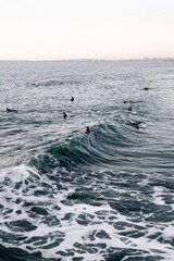 Fototapeta premium Surfing Imperial Beach California