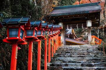 
日本の秋の神社の境内は紅葉に包まれます