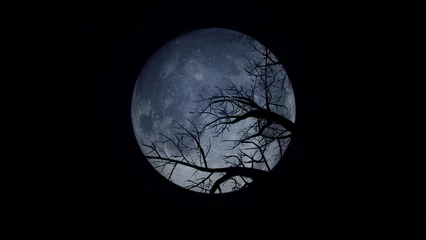 Stickers pour porte Pleine Lune arbre Pleine lune dans le ciel, arrière-plans naturels abstraits. Type d& 39 Halloween d& 39 un ciel nuageux de pleine lune.