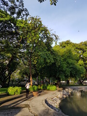 Obraz premium park in the city