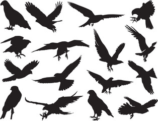 falcon eagle silhouette