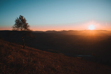 Morning in the Carpathian mountain. Autumn foggy landscape with the sun and tree