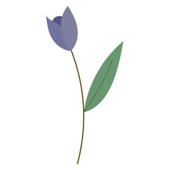 Obraz premium Simple Purple Flowers