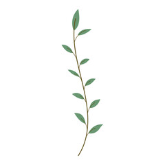 Obraz premium minimal leaf element