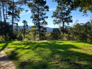 Obraz premium path in the park
