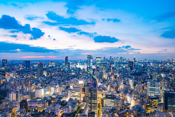 東京の夜景 - obrazy, fototapety, plakaty