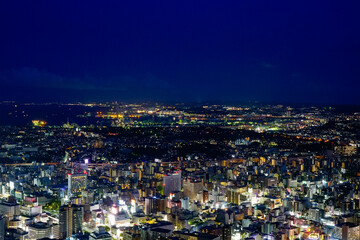 Obraz premium 東京の夜景