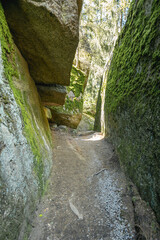 Hiking route in the fichtel mountains in bavaria