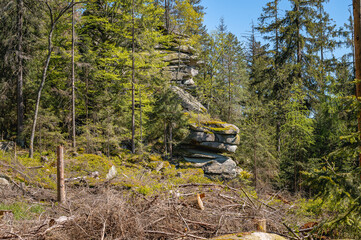Hiking route in the fichtel mountains in bavaria