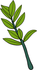simplicity zanzibar gem plant simplicity freehand drawing flat design.