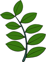 simplicity zanzibar gem plant simplicity freehand drawing flat design.