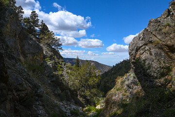 Woodland Falls Trail, Pine Mountain Club, Los Padres National Forest