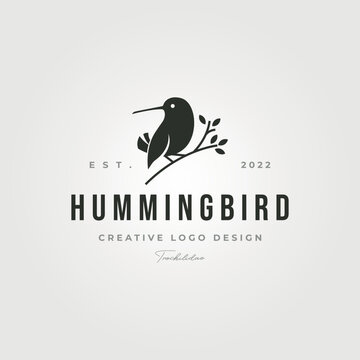 hummingbird logo vector icon symbol illustration design, little bird silhouette logo design