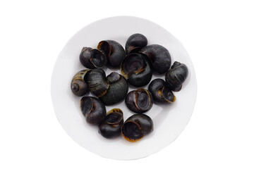 Aquatic gastropod mollusks, freshwater apple snail on dish, isolated on white background. Concept : Edible snails that can be cooked in various delicious menu. Weird food.     