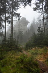 misty morning in the fichtel mountains 