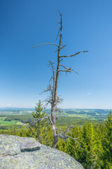 Obraz premium Hiking route in the fichtel mountains in bavaria