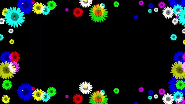 Colorful daisy flowers frame motion graphics with night background