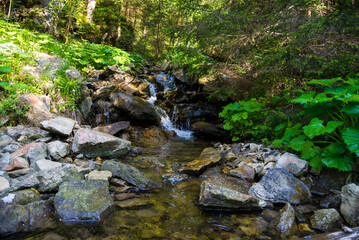 Small mountain river in the Carpathians