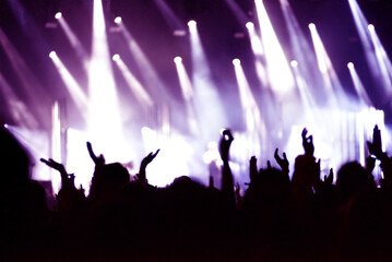 Fototapeta na wymiar Rear view of crowd with arms outstretched at concert