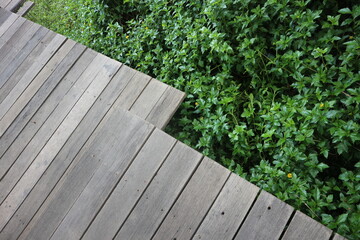 wooden fence and grass