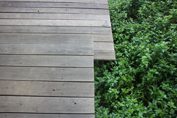 wooden wall and green grass