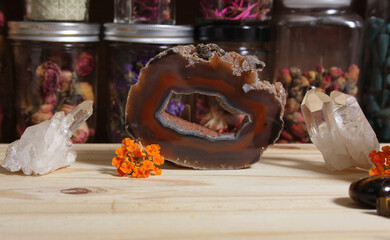 Agatized Coral With Quartz Crystals and Flowers on Meditation Table