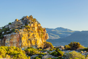 Rugged mountain landscape with fynbos flora in Cape Town.