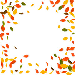 Falling autumn leaves. Red, yellow, green, brown c