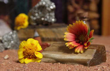 Yellow Flower on Petrified Wood and Crystals on Australian Red Sand