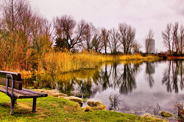 autumn in the park