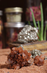 Aragonite Crystal With Aloe Vera on Australian Red Sand