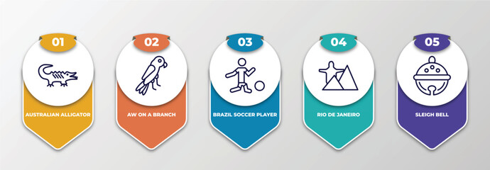 infographic template with thin line icons. infographic for culture concept. included australian alligator, aw on a branch, brazil soccer player, rio de janeiro, sleigh bell editable vector. - obrazy, fototapety, plakaty