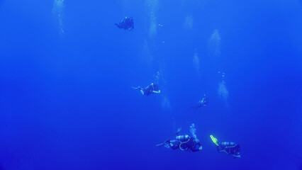 Fototapeta na wymiar Underwater photo of scuba divers looking for hammerhead sharks. From a scuba dive in the Red sea in Egypt.