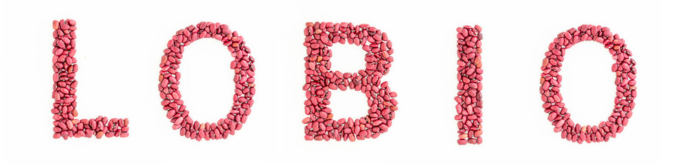 LOBIO headline from red kidney beans. Beans font. White background. Lettering design element