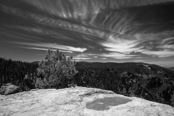 Black and white shot of rainwater waterhole and tree beneath cirrus cloudscape on Taft Point in Yosemite National Park in Central California United States