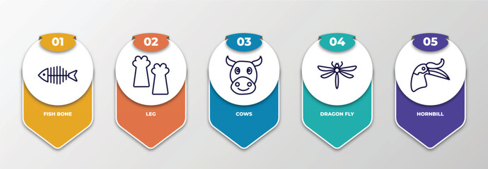 infographic template with thin line icons. infographic for animals concept. included fish bone, leg, cows, dragon fly, hornbill editable vector.