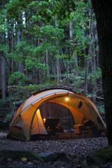 camping in the forest