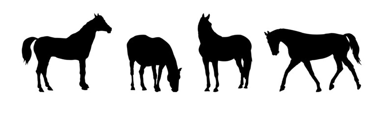 Fototapeta na wymiar Set of silhouettes of horses