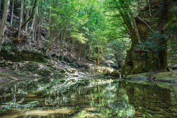 三重-【赤目四十八滝（新緑）】