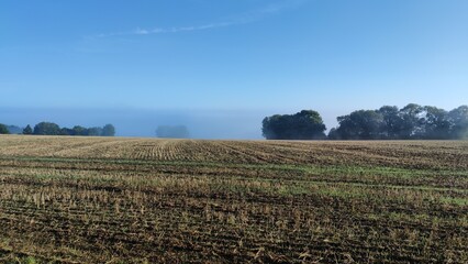 paysage