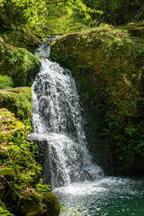 Naklejka premium 三重-【赤目四十八滝（新緑）】