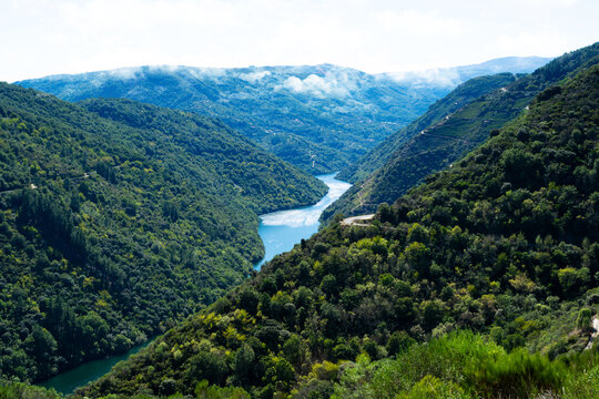 Aerial view of vineyards and Sil river, Ribeira Sacra, Ourense, Galicia, Spain