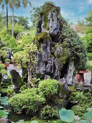 japanese garden and bonsai