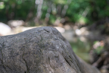 Fototapeta na wymiar Big stone in the rivers bed close-up