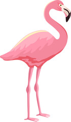 Pink flamingo vector illustration isolated on white background. Flamingo is a large waterfowl