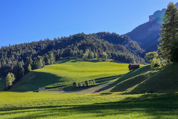 Morning sun rays cast soft shadow over the farming meadow with a wooden barn