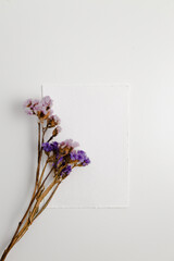 Mockup of an empty postcard for a wedding invitation with a dry flower next to it