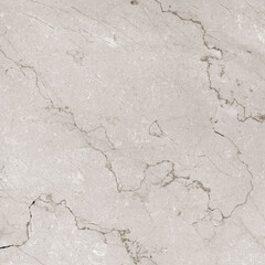 FIORITI LIGHT GREY tiles with natural dark vines high resolution marble texture design image use for wall tiles and wall paper 
