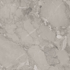 ANGAR GREY tiles with natural vines high resolution marble texture design image use for wall tiles and wall paper 